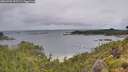 ./images/calvert/foggy-cove/20260702/foggy-cove20260702_095501M.jpg