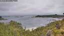 ./images/calvert/foggy-cove/20260702/foggy-cove20260702_101001M.jpg