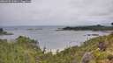 ./images/calvert/foggy-cove/20260702/foggy-cove20260702_102001M.jpg