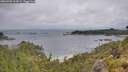 ./images/calvert/foggy-cove/20260702/foggy-cove20260702_103001M.jpg