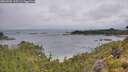 ./images/calvert/foggy-cove/20260702/foggy-cove20260702_103501M.jpg