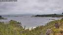 ./images/calvert/foggy-cove/20260702/foggy-cove20260702_105001M.jpg