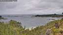 ./images/calvert/foggy-cove/20260702/foggy-cove20260702_105501M.jpg