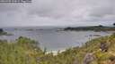 ./images/calvert/foggy-cove/20260702/foggy-cove20260702_110001M.jpg