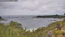 ./images/calvert/foggy-cove/20260702/foggy-cove20260702_110501M.jpg