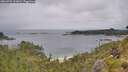 ./images/calvert/foggy-cove/20260702/foggy-cove20260702_111001M.jpg