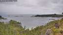 ./images/calvert/foggy-cove/20260702/foggy-cove20260702_112501M.jpg