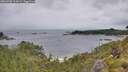 ./images/calvert/foggy-cove/20260702/foggy-cove20260702_114501M.jpg