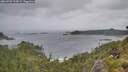 ./images/calvert/foggy-cove/20260702/foggy-cove20260702_115001M.jpg