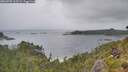 ./images/calvert/foggy-cove/20260702/foggy-cove20260702_115501M.jpg