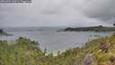./images/calvert/foggy-cove/20260702/foggy-cove20260702_120502M.jpg