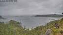 ./images/calvert/foggy-cove/20260702/foggy-cove20260702_121501M.jpg