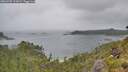 ./images/calvert/foggy-cove/20260702/foggy-cove20260702_122001M.jpg