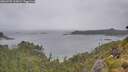 ./images/calvert/foggy-cove/20260702/foggy-cove20260702_125001M.jpg