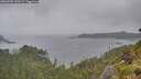 ./images/calvert/foggy-cove/20260702/foggy-cove20260702_130501M.jpg