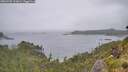 ./images/calvert/foggy-cove/20260702/foggy-cove20260702_131001M.jpg