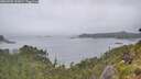 ./images/calvert/foggy-cove/20260702/foggy-cove20260702_132001M.jpg