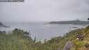 ./images/calvert/foggy-cove/20260702/foggy-cove20260702_133001M.jpg