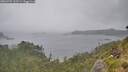 ./images/calvert/foggy-cove/20260702/foggy-cove20260702_133501M.jpg