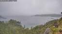 ./images/calvert/foggy-cove/20260702/foggy-cove20260702_134001M.jpg