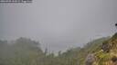 ./images/calvert/foggy-cove/20260702/foggy-cove20260702_143002M.jpg