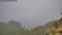 ./images/calvert/foggy-cove/20260702/foggy-cove20260702_143501M.jpg
