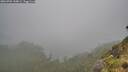 ./images/calvert/foggy-cove/20260702/foggy-cove20260702_144001M.jpg