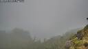 ./images/calvert/foggy-cove/20260702/foggy-cove20260702_144502M.jpg