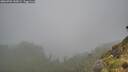 ./images/calvert/foggy-cove/20260702/foggy-cove20260702_145002M.jpg