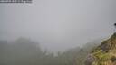 ./images/calvert/foggy-cove/20260702/foggy-cove20260702_145501M.jpg