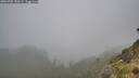 ./images/calvert/foggy-cove/20260702/foggy-cove20260702_150501M.jpg