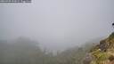 ./images/calvert/foggy-cove/20260702/foggy-cove20260702_151001M.jpg