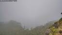 ./images/calvert/foggy-cove/20260702/foggy-cove20260702_151501M.jpg