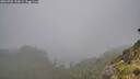 ./images/calvert/foggy-cove/20260702/foggy-cove20260702_152001M.jpg