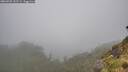 ./images/calvert/foggy-cove/20260702/foggy-cove20260702_152501M.jpg