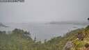./images/calvert/foggy-cove/20260702/foggy-cove20260702_154501M.jpg