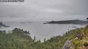 ./images/calvert/foggy-cove/20260702/foggy-cove20260702_191501M.jpg