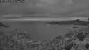 ./images/calvert/foggy-cove/20260703/foggy-cove20260703_044002M.jpg