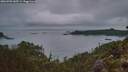 ./images/calvert/foggy-cove/20260703/foggy-cove20260703_045501M.jpg