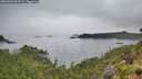 ./images/calvert/foggy-cove/20260703/foggy-cove20260703_054501M.jpg