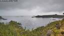 ./images/calvert/foggy-cove/20260703/foggy-cove20260703_055001M.jpg