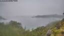./images/calvert/foggy-cove/20260703/foggy-cove20260703_062501M.jpg