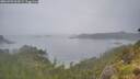./images/calvert/foggy-cove/20260703/foggy-cove20260703_063501M.jpg