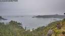 ./images/calvert/foggy-cove/20260703/foggy-cove20260703_065501M.jpg