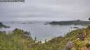 ./images/calvert/foggy-cove/20260703/foggy-cove20260703_072001M.jpg