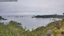 ./images/calvert/foggy-cove/20260703/foggy-cove20260703_072502M.jpg