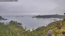 ./images/calvert/foggy-cove/20260703/foggy-cove20260703_073001M.jpg