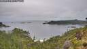 ./images/calvert/foggy-cove/20260703/foggy-cove20260703_074001M.jpg