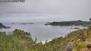 ./images/calvert/foggy-cove/20260703/foggy-cove20260703_080501M.jpg