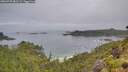 ./images/calvert/foggy-cove/20260703/foggy-cove20260703_081501M.jpg
